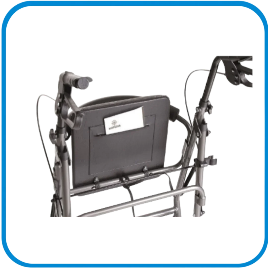 Rollator Sedile Imbottito E Ruote Grandi Rp520 - L&G Sport e Benessere