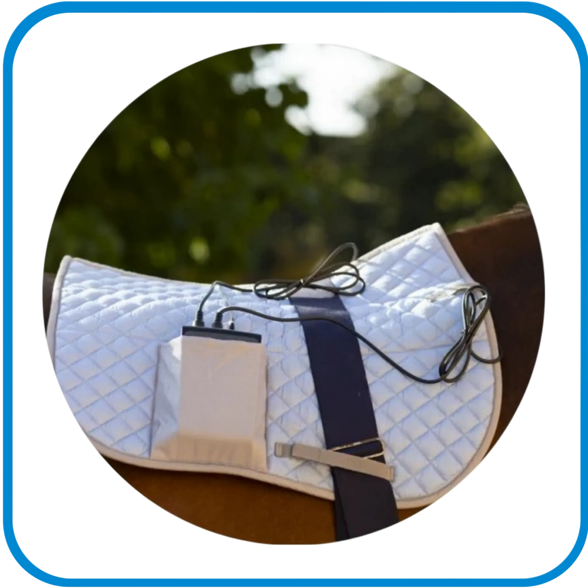 Pet Therapy - Kora Prix - Magnetoterapia Cemp Per La Schiena Dei Cavalli - L&G Sport e Benessere