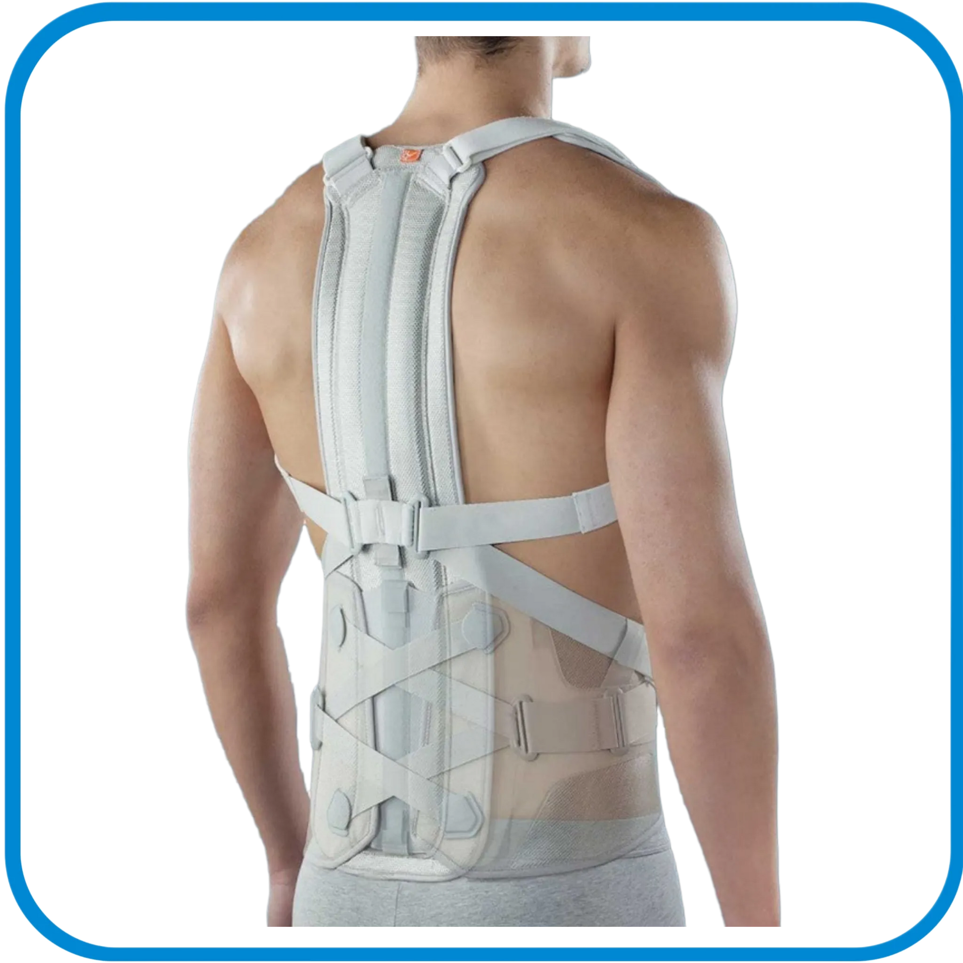 Schienale Per Spallaccio - Da Abbinare A Lumbopull - L&G Sport e Benessere