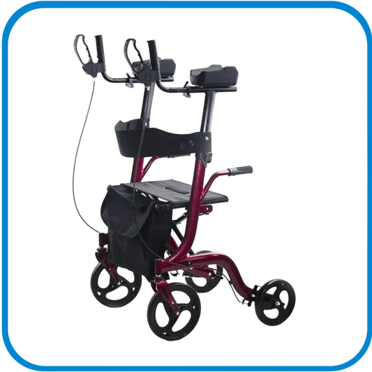 Deambulatore Anziani Con Spazio Per La Spesa - L&G Sport e Benessere