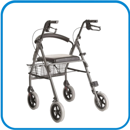 Rollator Sedile Imbottito E Ruote Grandi Rp520 - L&G Sport e Benessere 