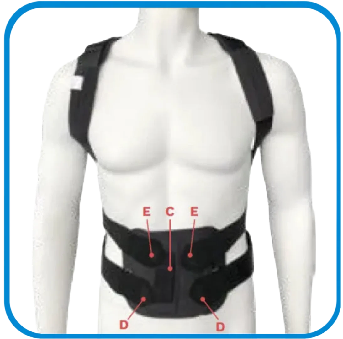 Spinotec Tutore Dorso-Lombare Per Osteoporosi Ottobock - L&G Sport e Benessere 