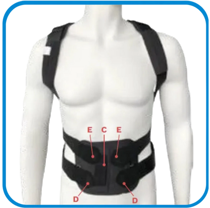 Spinotec Tutore Dorso-Lombare Per Osteoporosi Ottobock - L&G Sport e Benessere 