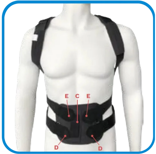 Spinotec Tutore Dorso-Lombare Per Osteoporosi Ottobock - L&G Sport e Benessere 