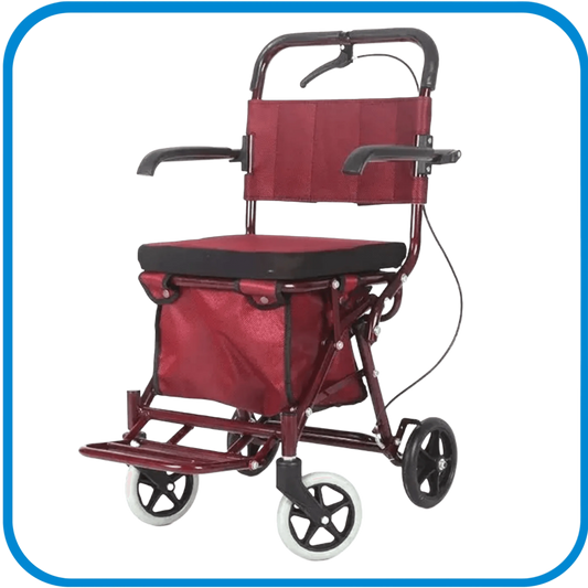 Passegino Per La Spesa - L&G Sport e Benessere 