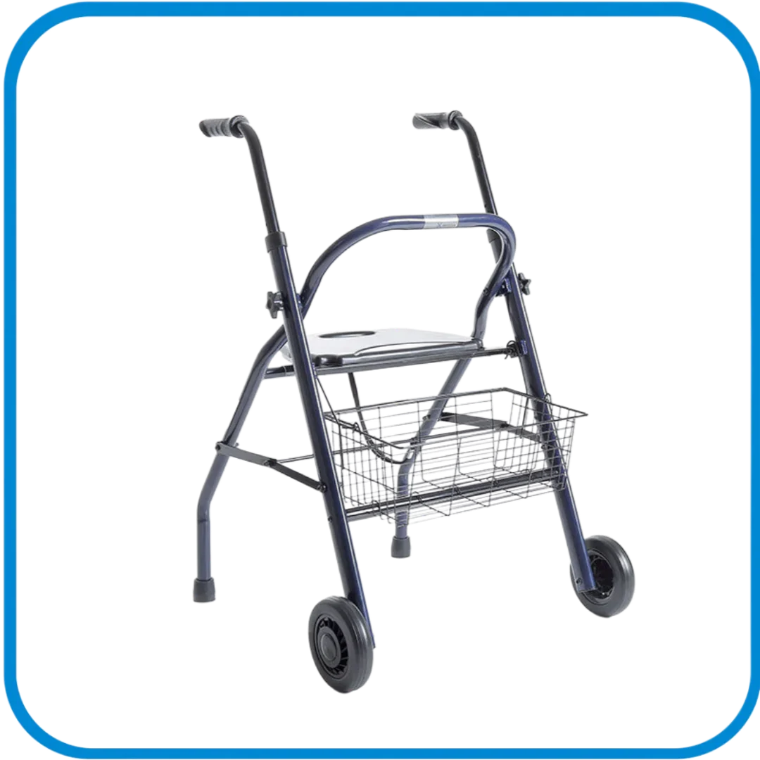 Rollatordue Ruote Sedile Imbottito Rp680 - L&G Sport e Benessere 