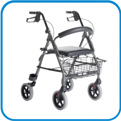 Rollator Sedile Imbottito E Ruote Grandi Rp520 - L&G Sport e Benessere 
