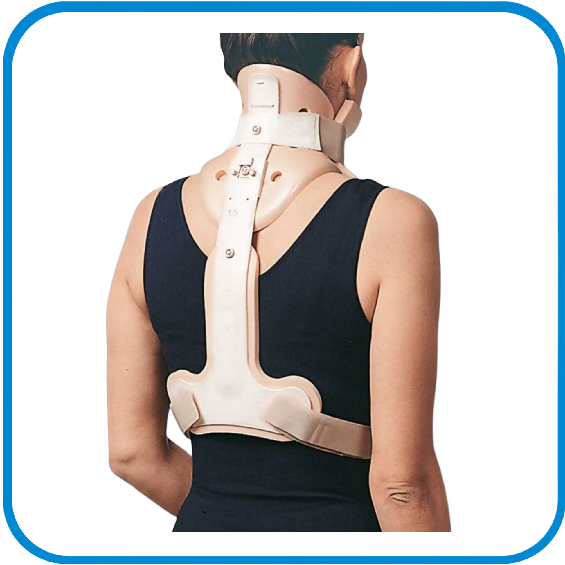 Stabilizzatore Sterno-Dorsale Per Collare Cervistable - L&G Sport e Benessere 