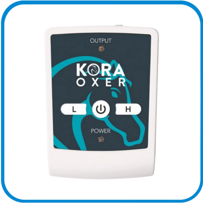 Pet Therapy - Kora Prix - Magnetoterapia Cemp Per La Schiena Dei Cavalli - L&G Sport e Benessere 